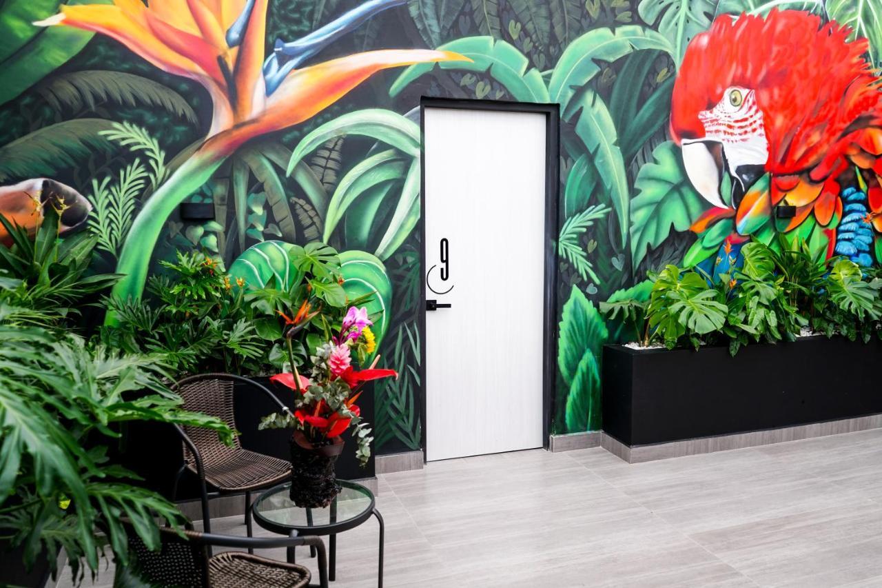 Hotel Casa Luna Кукута Экстерьер фото